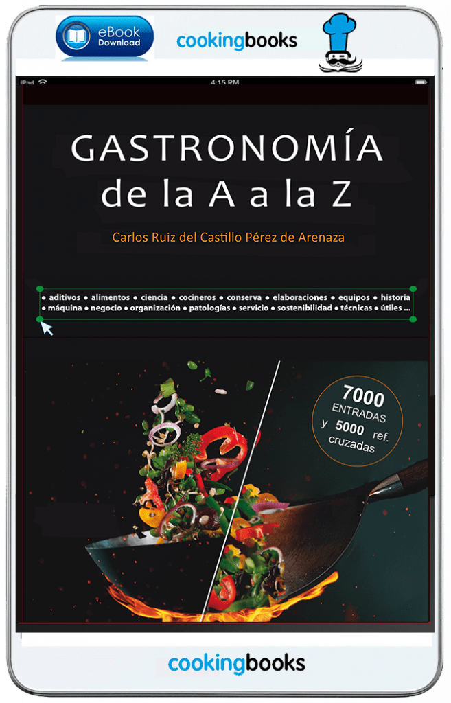 eBook Gastronomía de la A a la Z - Carlos Ruiz del Castillo Pérez de Arenaza