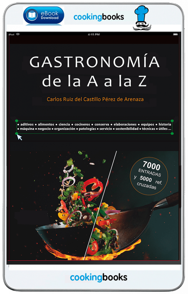 eBook Gastronomía de la A a la Z - Carlos Ruiz del Castillo Pérez de Arenaza - COOKING BOOKS