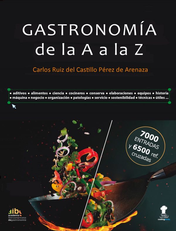Diccionario culinario Gastronomía de la A a la Z - Autor: Carlos Ruiz del Castillo - Edición papel.