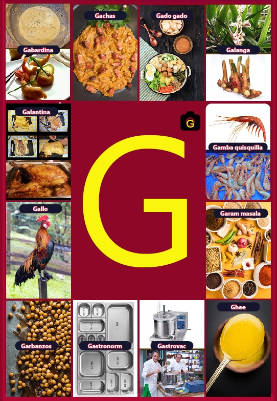 Glosario letra G del libro Gastronomía de la A a la Z - eBook interactivo Cooking Books, Diccionaro culinario y gastronómico