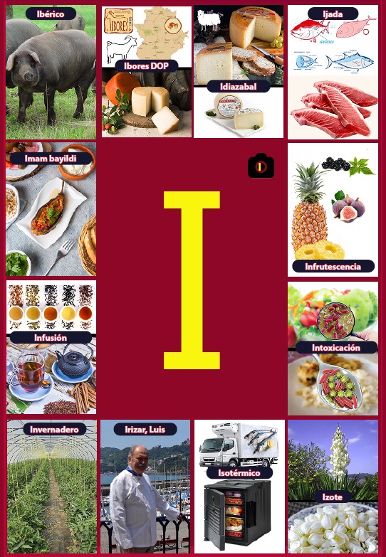 Glosario letra I del libro Gastronomía de la A a la Z - eBook interactivo Cooking Books, Diccionaro culinario y gastronómico