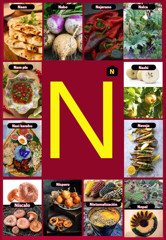 Glosario letra N del libro Gastronomía de la A a la Z - eBook interactivo Cooking Books, Diccionaro culinario y gastronómico
