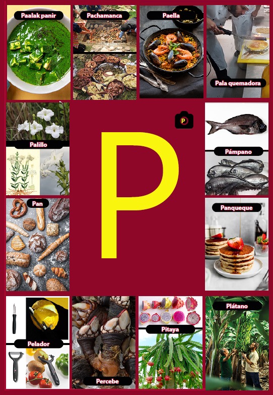 Glosario letra P del libro Gastronomía de la A a la Z - eBook interactivo Cooking Books, Diccionaro culinario y gastronómico