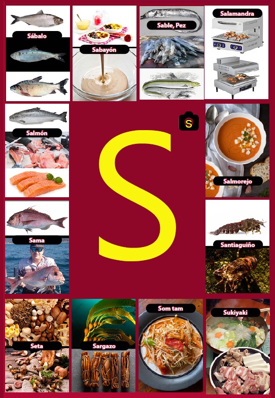 Glosario letra S del libro Gastronomía de la A a la Z - eBook interactivo Cooking Books, Diccionaro culinario y gastronómico
