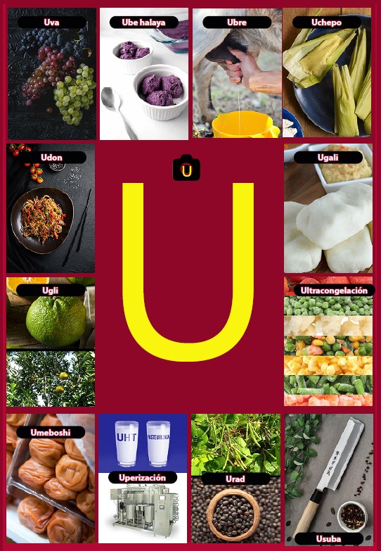 Glosario letra U del libro Gastronomía de la A a la Z - eBook interactivo Cooking Books, Diccionaro culinario y gastronómico