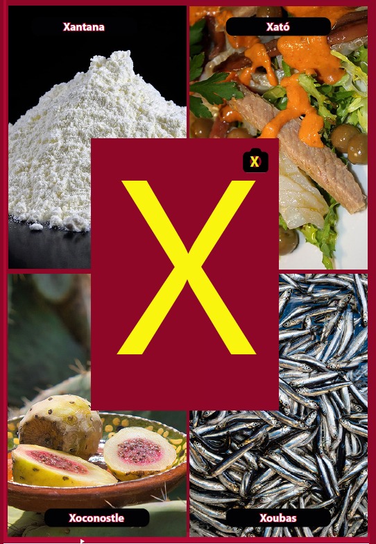 Glosario letra X del libro Gastronomía de la A a la Z - eBook interactivo Cooking Books, Diccionaro culinario y gastronómico