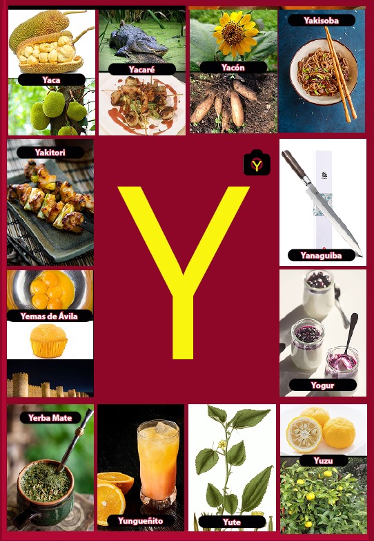 Glosario letra Y del libro Gastronomía de la A a la Z - eBook interactivo Cooking Books, Diccionaro culinario y gastronómico