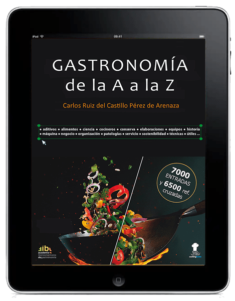 eBook libro electrónico Gastronomía de la A a la Z - Autor: Carlos Ruiz del Castillo