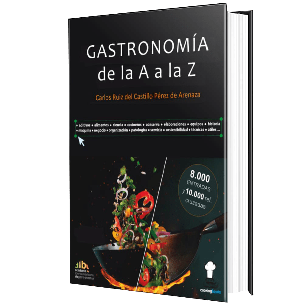 Libro en papel Gastronomía de la A a la Z - Autor: Carlos Ruiz del Castillo