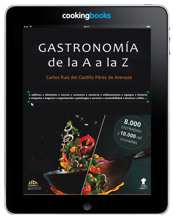eBook Gastronomía de la A a la Z - Carlos Ruiz del Castillo Pérez de Arenaza - COOKING BOOKS